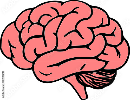 Human brain silhouette icon Simple view of head, human brain vector illustration in flat style. The human brain on a white background.
