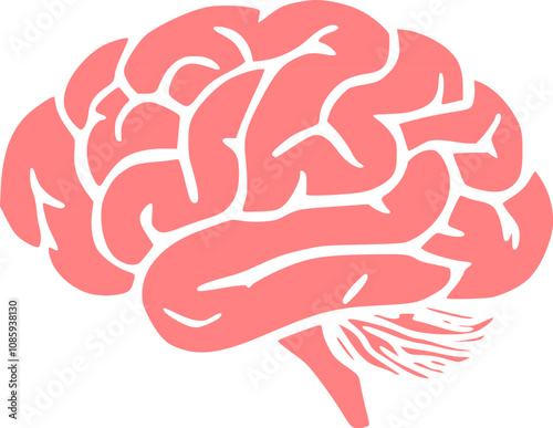 Human brain silhouette icon Simple view of head, human brain vector illustration in flat style. The human brain on a white background.
 photo