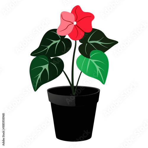 Begonia Plant with Black Pot Flat Design.