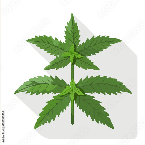 Simple flat 2D icon green nettle branch isolated on a white background, vector, flat design, animation design, vector, animation design, simple flat 2D icon, minimalist icon, AI icon design
