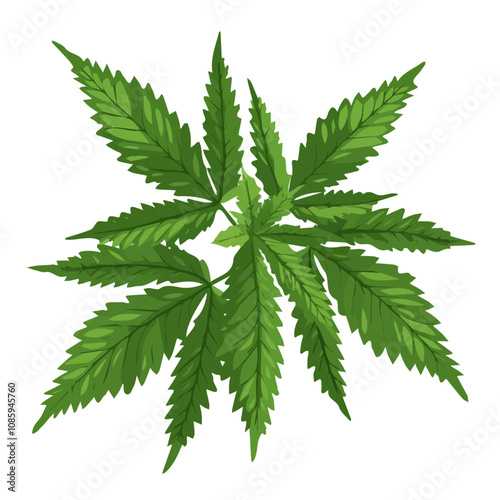 Simple flat 2D icon nettle leaves branch isolated on a white background, vector, flat design, animation design, vector, animation design, simple flat 2D icon, minimalist icon, AI icon design