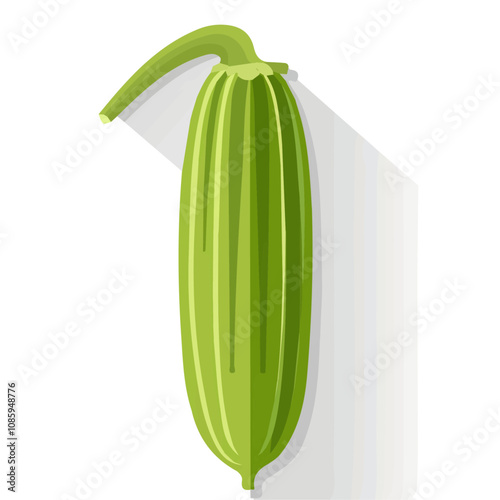 Simple okra motion graphic flat-design vector animation style, in white background, flat design, animation design, vector, flat design, animation design, simple flat 2D icon