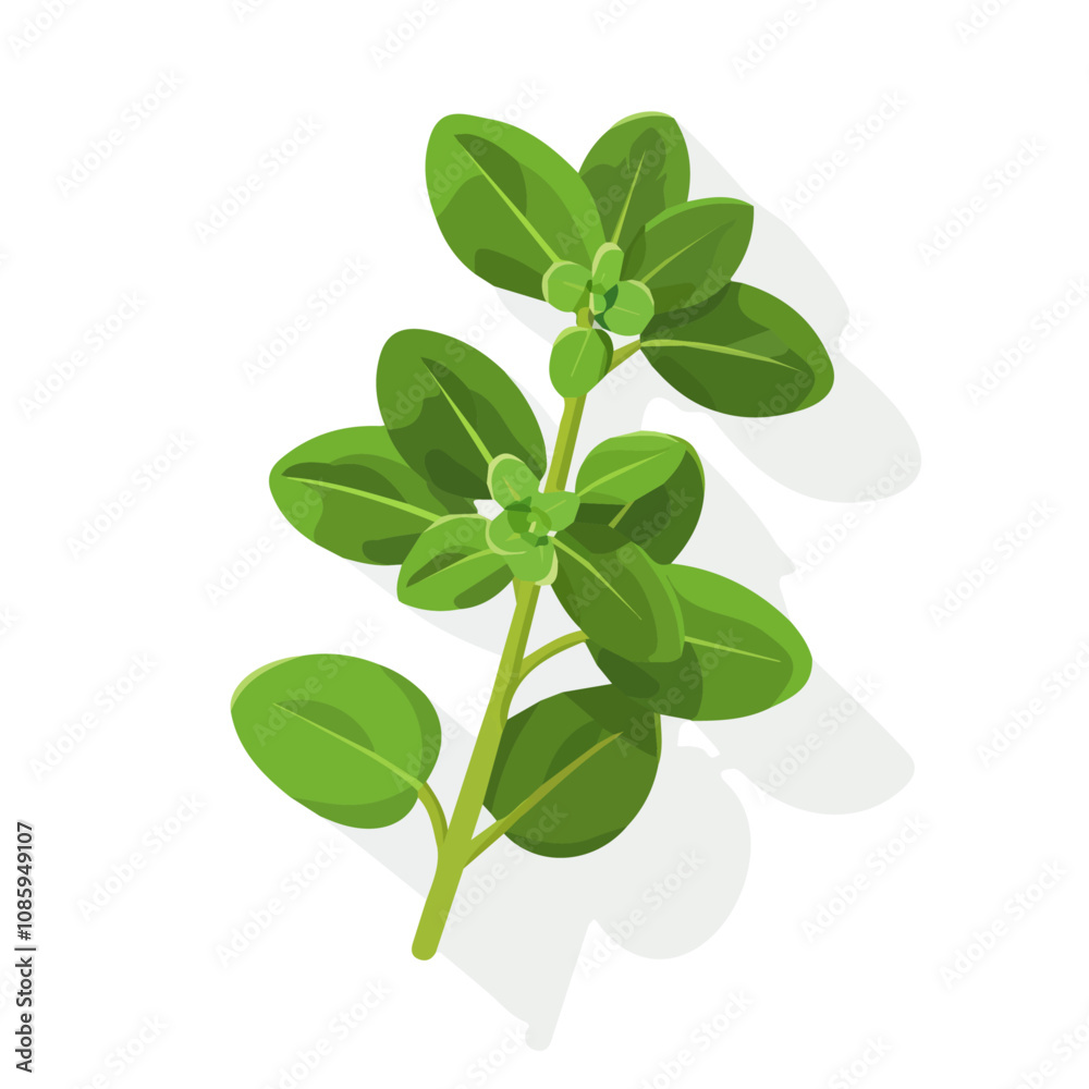 2D Simple oregano branch motion graphic flat-design vector animation style, in white background, flat design, animation design, vector, flat design, animation design, flat 2D design 2D Simple oregano branch motion graphic flat-design vector animation style, in white background, flat design, animation design, vector, flat design, animation design, flat 2D design