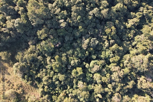 Imagem aérea de uma floresta tropical obtidas com uso de drone, no Brasil. photo