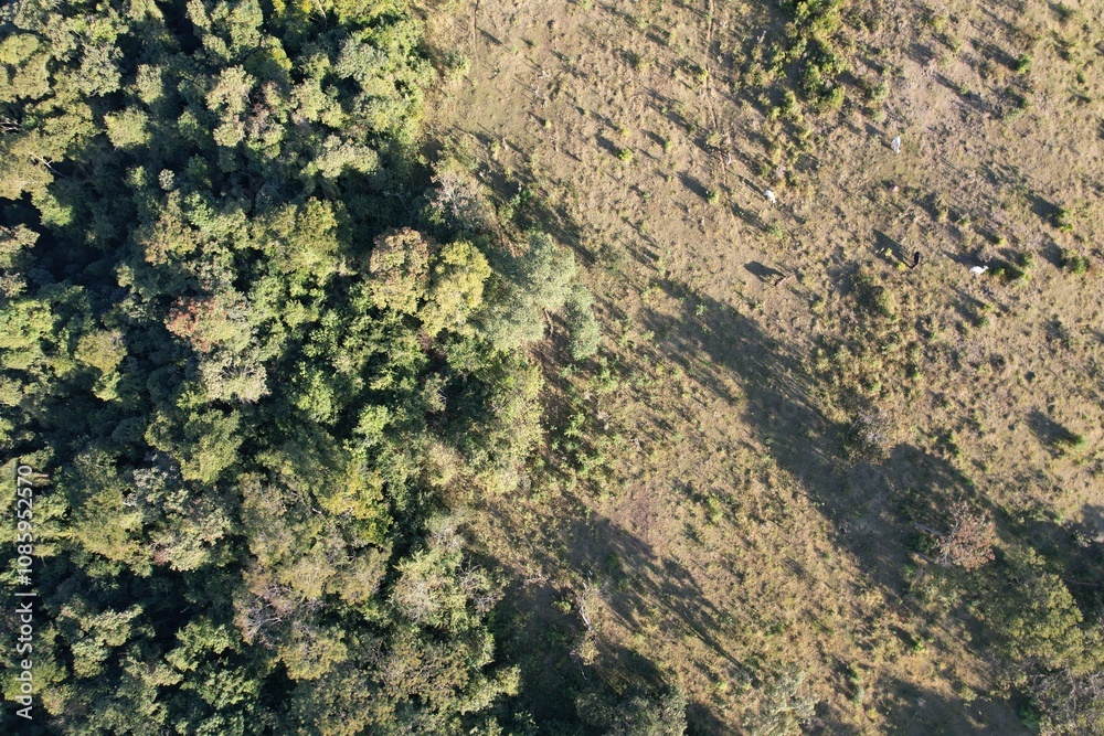 Imagem aérea de uma floresta tropical obtidas com uso de drone, no Brasil. Imagem aérea de uma floresta tropical obtidas com uso de drone, no Brasil.