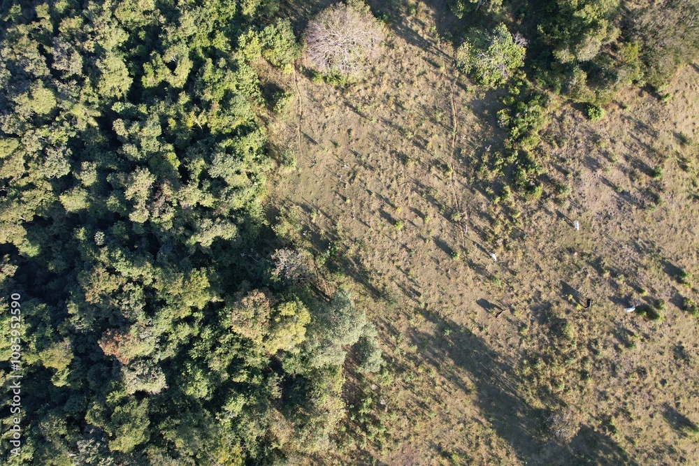 Imagem aérea de uma floresta tropical obtidas com uso de drone, no Brasil. Imagem aérea de uma floresta tropical obtidas com uso de drone, no Brasil.