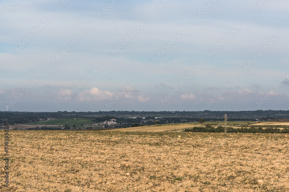 Fototapeta premium paesaggio rurale