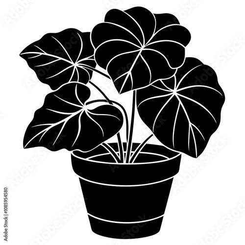 Begonia Plant Flat Silhouette Art.