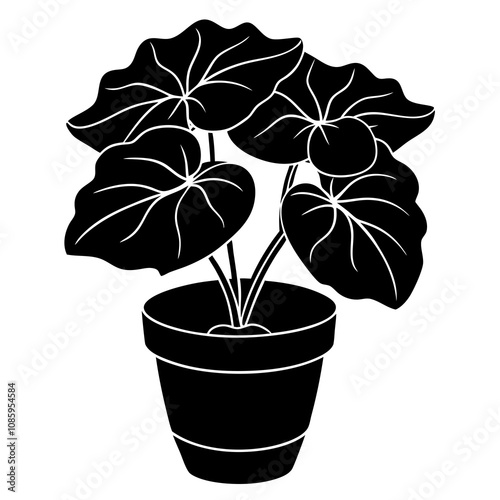 Begonia Plant Flat Silhouette Art.