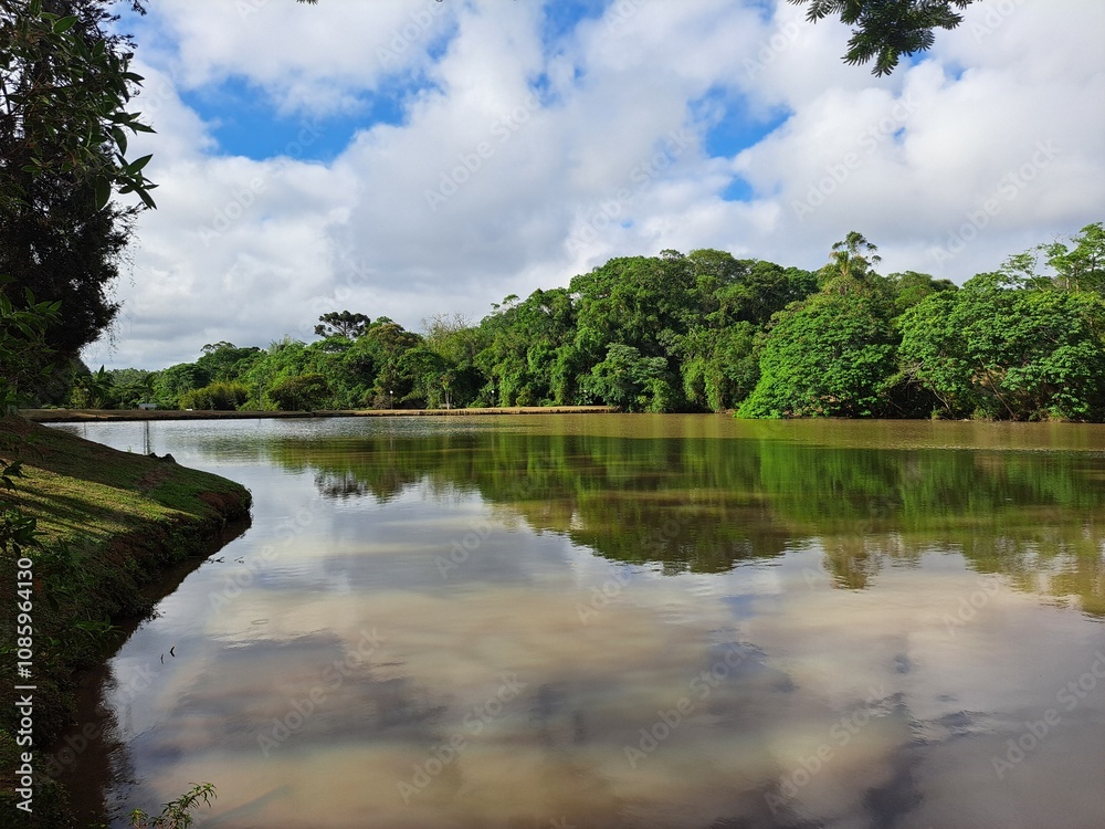 A vista de um lindo lago A vista de um lindo lago
