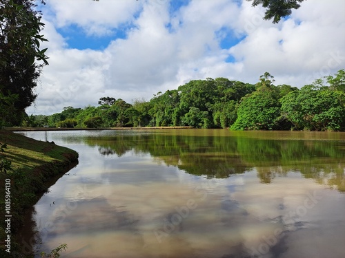 A vista de um lindo lago