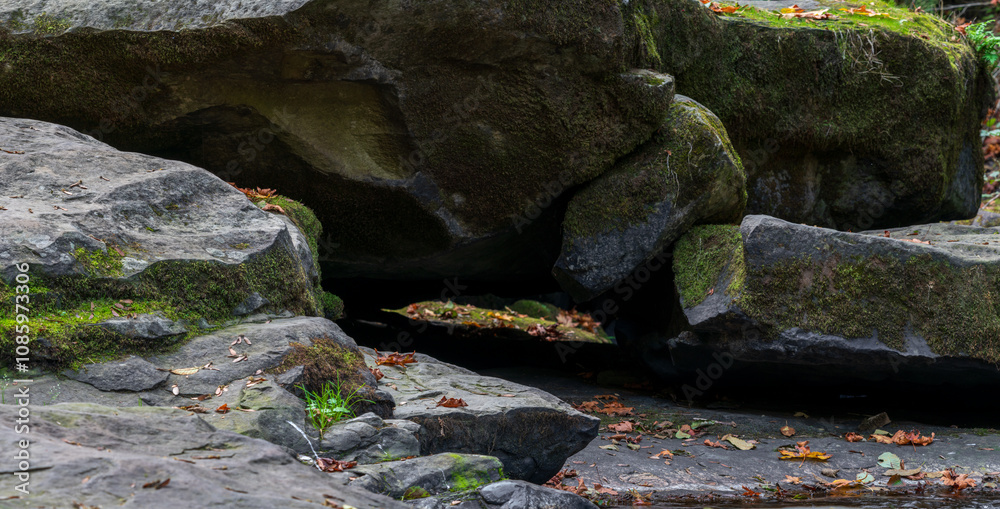 Rocks along a stream in the Oregon Coast Range.