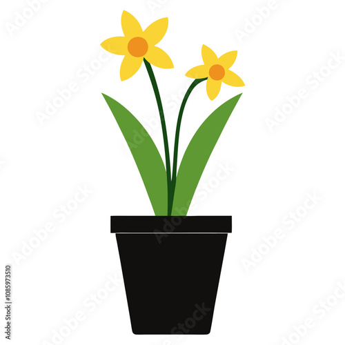 Minimal Daffodil Plant in Black Pot.