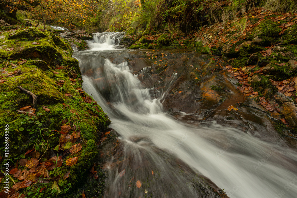 Infierno River waterfalls in autumn, on the Pexanca route, Infiesto, Asturias, Spain Infierno River waterfalls in autumn, on the Pexanca route, Infiesto, Asturias, Spain