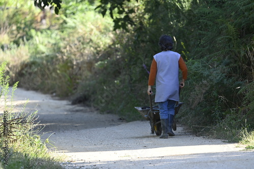 Femme poussant une brouette à la campagne photo