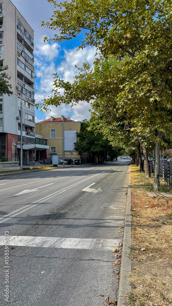 Tree-lined urban street with residential buildings and a clear sky, emphasizing urban planning and peaceful city life. Suitable for real estate, transportation, and urban design themes. Tree-lined urban street with residential buildings and a clear sky, emphasizing urban planning and peaceful city life. Suitable for real estate, transportation, and urban design themes.