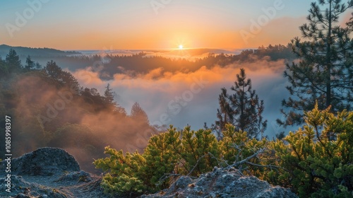 Foggy valley at sunset with misty atmosphere, ideal for use in travel or nature photography