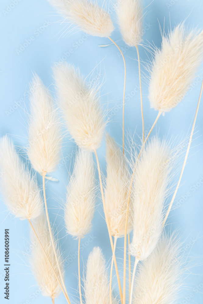 Elegant dry botanical arrangement on soft blue background