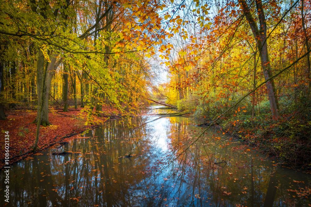 River through the forest in autumn River through the forest in autumn