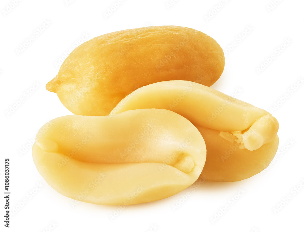 Peanut isolated on white background Peanut isolated on white background