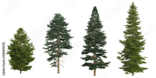 Collection of Picea trees on transparent background