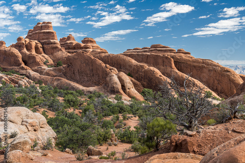 Panoramic view of rock fins in the the Devils Garden trail in Arches National Park in Utah
