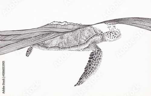 Pen and ink drawing of a turtle at the surface of the sea