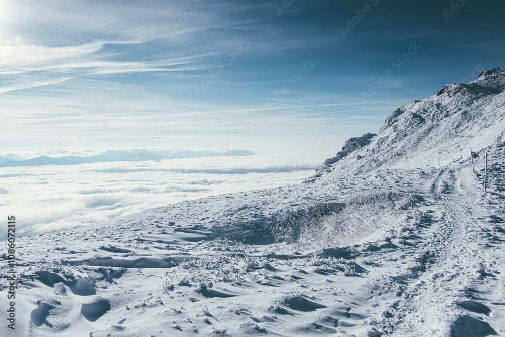 Winter in the mountains Winter in the mountains