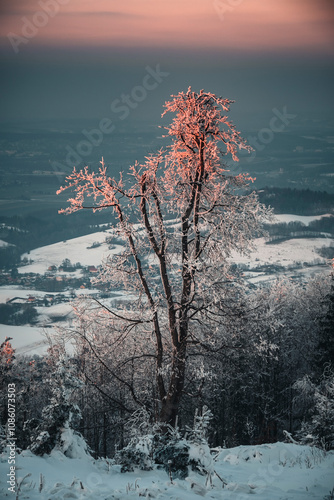 Winter in the mountains