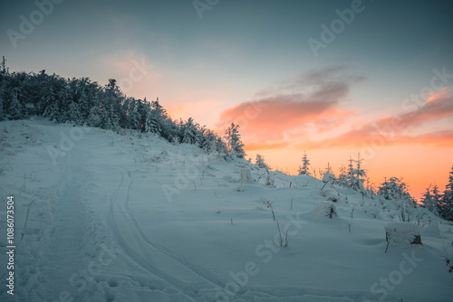 Winter in the mountains