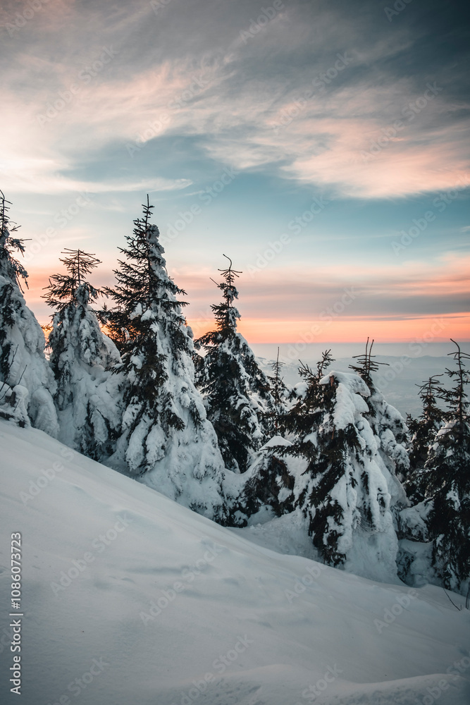Winter in the mountains Winter in the mountains
