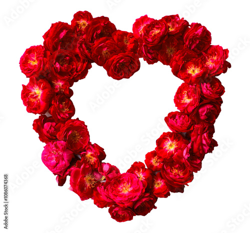 Beautiful red rose heart shaped background for various occasions isolated on transparent background