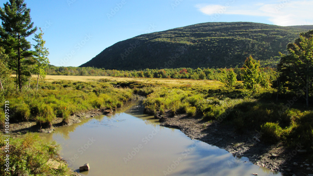 mountain stream and fall foliage mountain stream and fall foliage