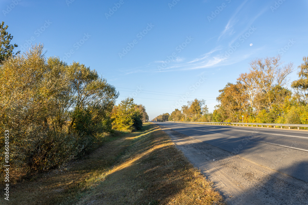 Road with trees on either side and a clear blue sky Road with trees on either side and a clear blue sky