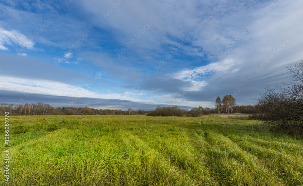A large field of grass with a clear blue sky above A large field of grass with a clear blue sky above