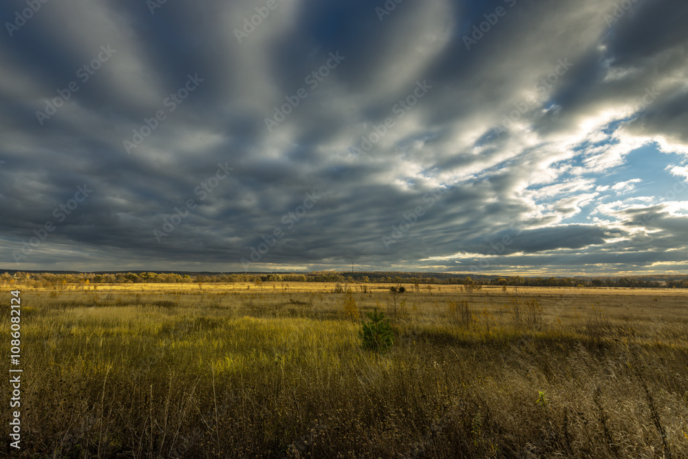 A field of grass with a cloudy sky in the background A field of grass with a cloudy sky in the background