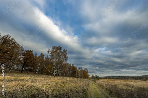 Obraz na plátně A field with trees and a cloudy sky