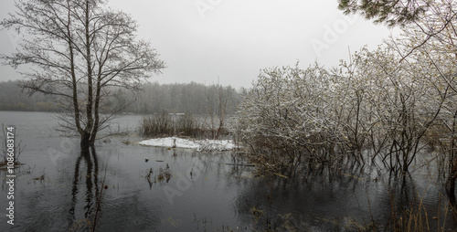 Lake with trees and snow on the ground