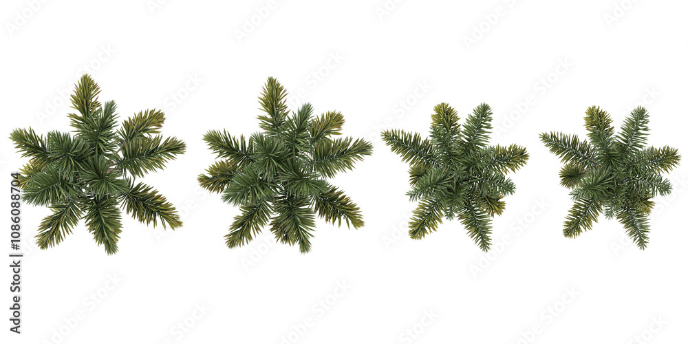 Obraz premium set of Syagrus palm trees on transparent background from the top view