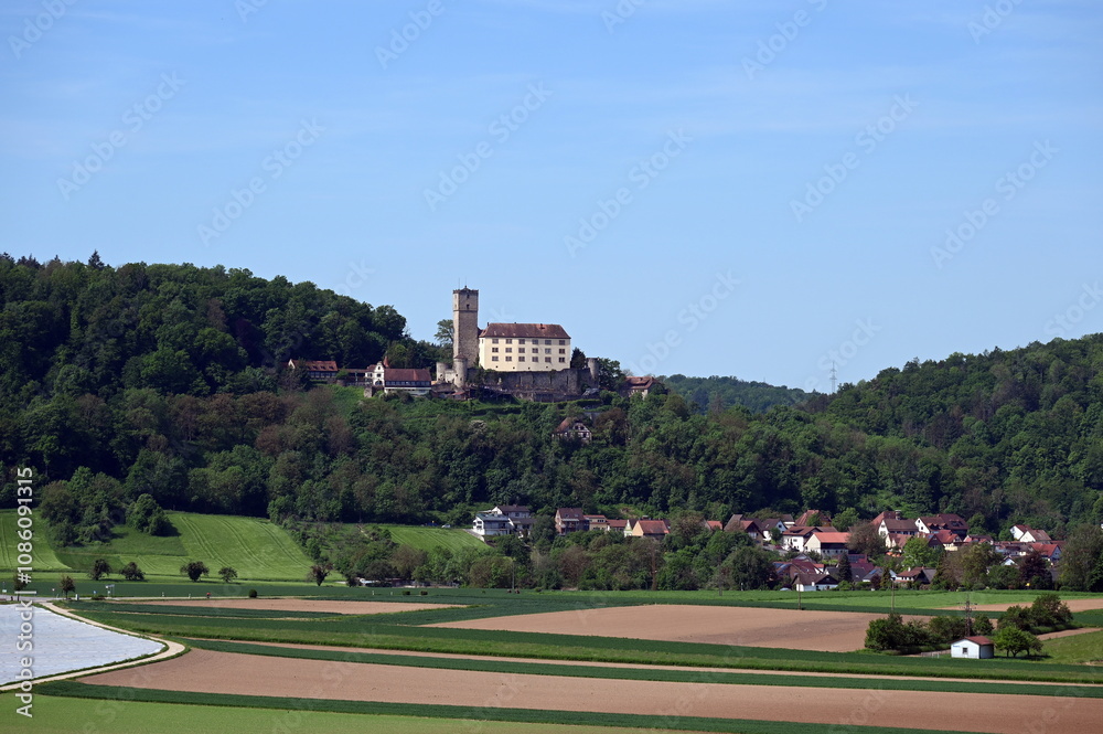 Fototapeta premium Burg Guttenberg am Neckar