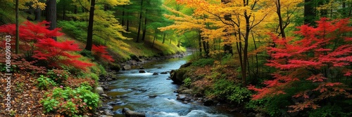 A lush green forest with vibrant flowers and a flowing stream, ideal for nature lovers, tranquility, environment photo