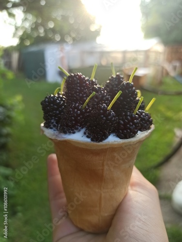 berries in ice cream