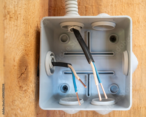 plastic box on a wooden board for connecting electrical wires, construction and renovation. close up and copy space.