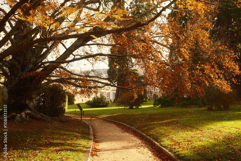Fototapeta premium Jardines de la Granja de San Ildefonso 