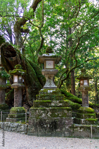 Nara park 