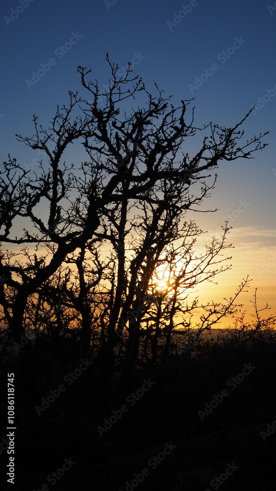 Vancouver Island, BC, Canada