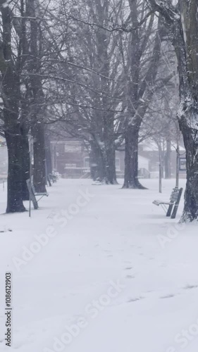 winter in the park 