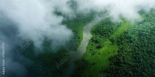 An extreme close-up view from space, looking down at the dense, green rainforest of Indonesia's Kalimantan region