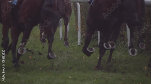 Slow-motion of horse hooves breaking through grass on a foggy racetrack. Turf flies as they race during an overcast autumn day. photo