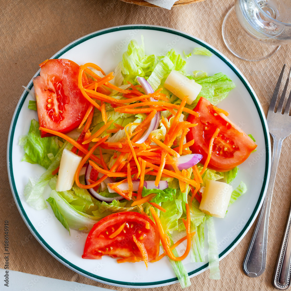 Light vegetable salad with tomatoes in a plate closeup Light vegetable salad with tomatoes in a plate closeup